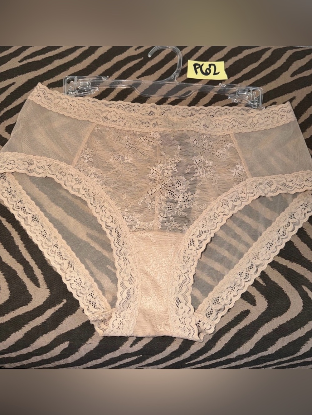 Natori Nude Lace Bikini Panty P62